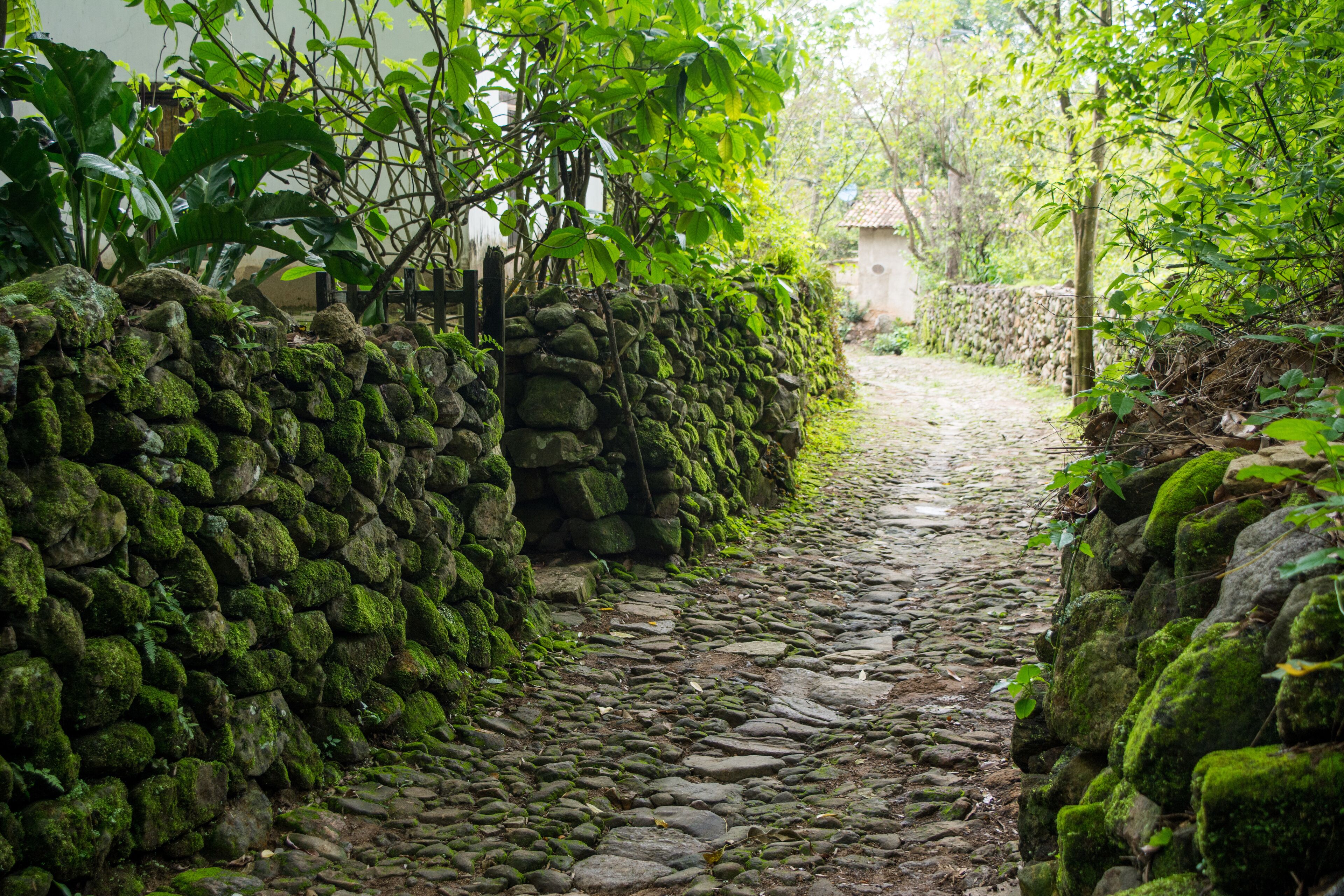 San Sebastián del Oeste