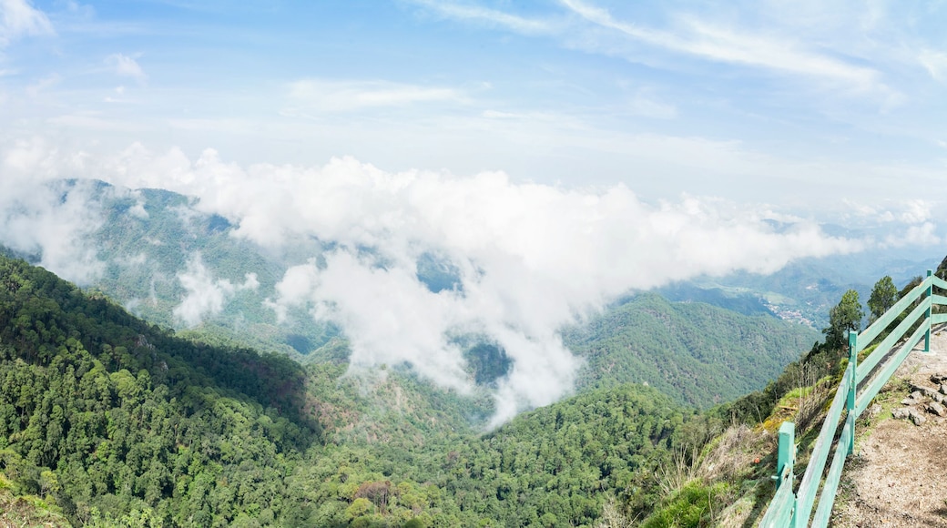 San Sebastián del Oeste