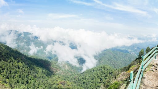 San Sebastian del Oeste