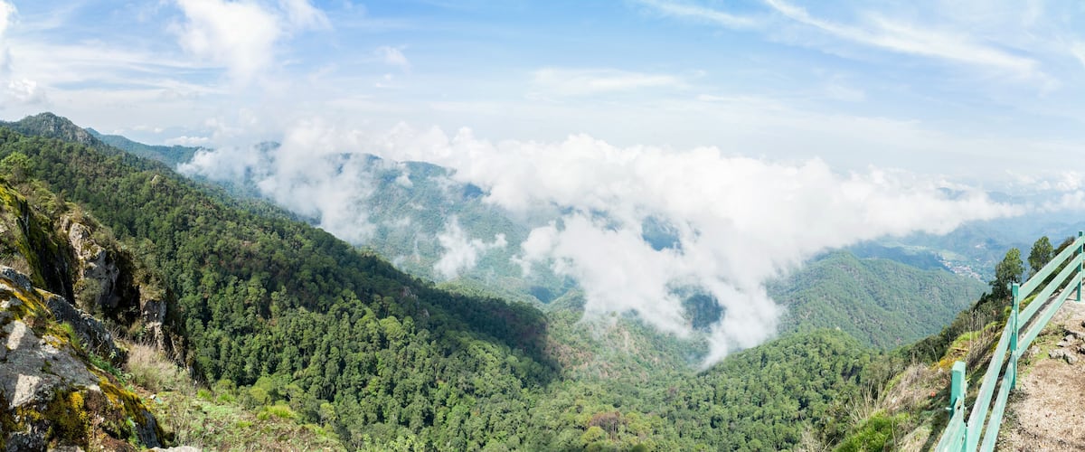 A mountainous landscape with lush green forests, a wooden walkway, and clouds hovering over the peaks.