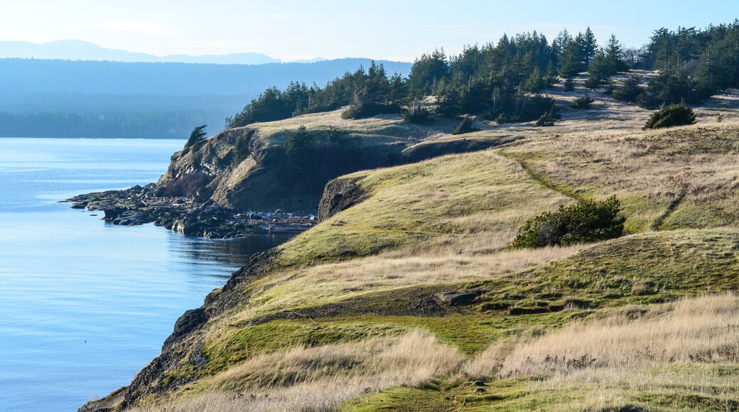 جزيرة هورنبي