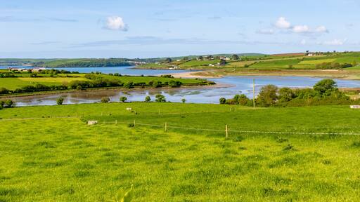 View of the southwest coast of Kinsale taken from Seafield Farmhouse