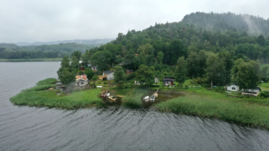 A lakeside village with houses surrounded by dense forest and a misty mountain in the background.