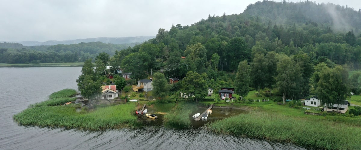 A lakeside village with houses surrounded by dense forest and a misty mountain in the background.
