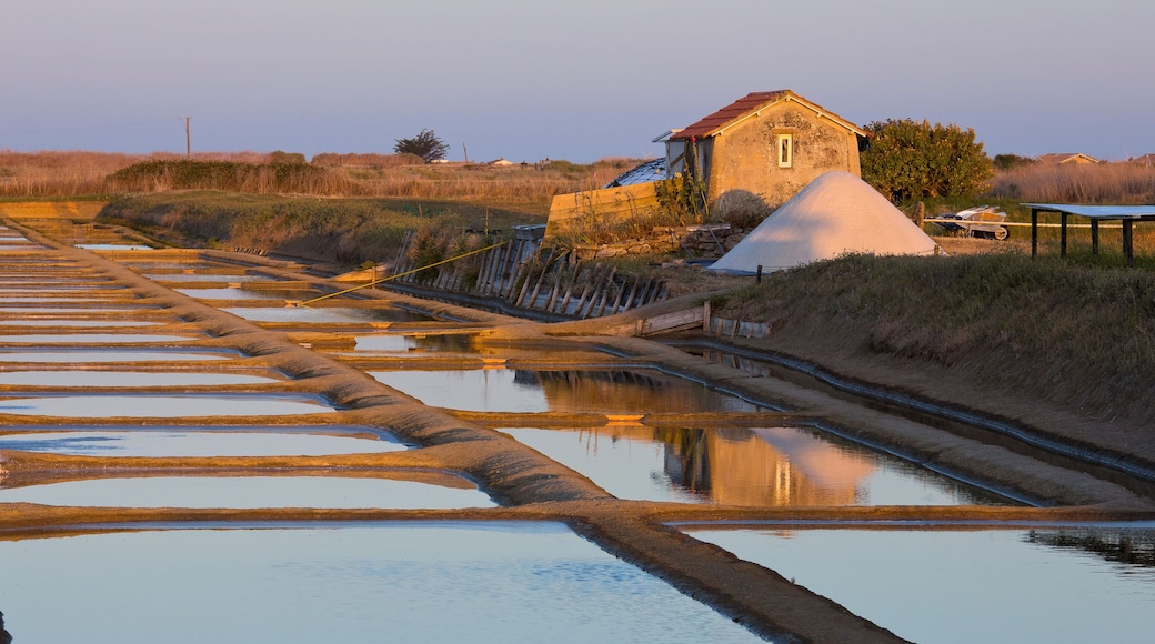 Cabane du saunier dans les marais salant de l'île de Noirmoutier en Vendée, France.