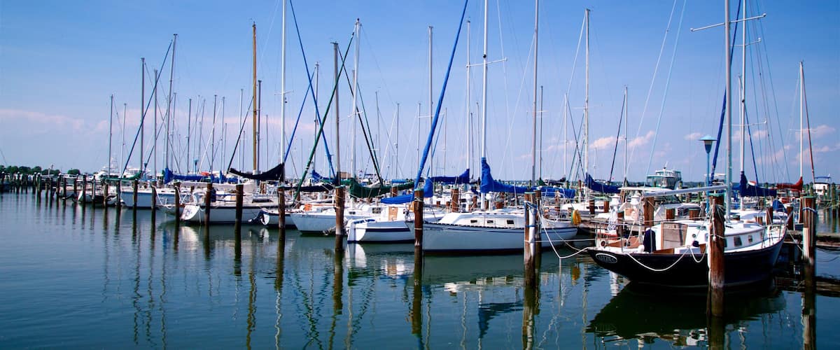 A marina with numerous sailboats docked at wooden piers.