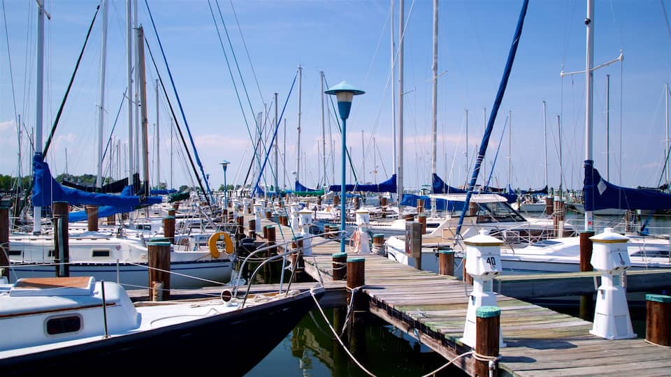 A marina with numerous boats docked at wooden piers under a clear sky.