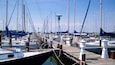 A marina with numerous boats docked at wooden piers under a clear sky.