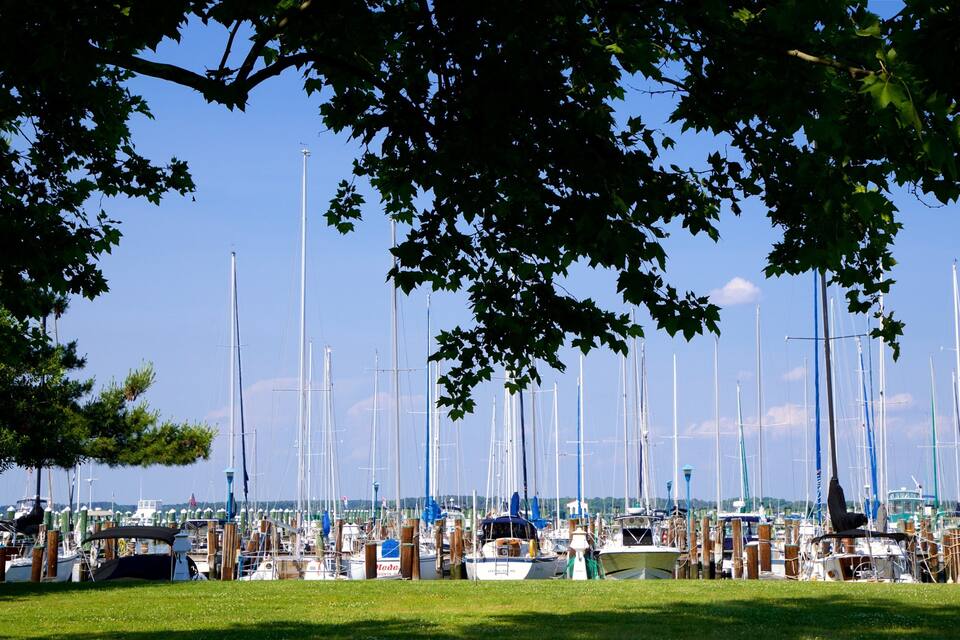 Marina con numerosos veleros amarrados, rodeada de árboles y un cielo azul despejado.