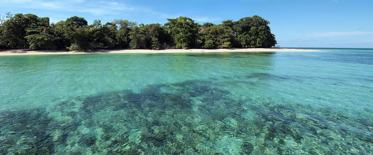 A clear turquoise sea, a sandy beach, and a dense forested island.