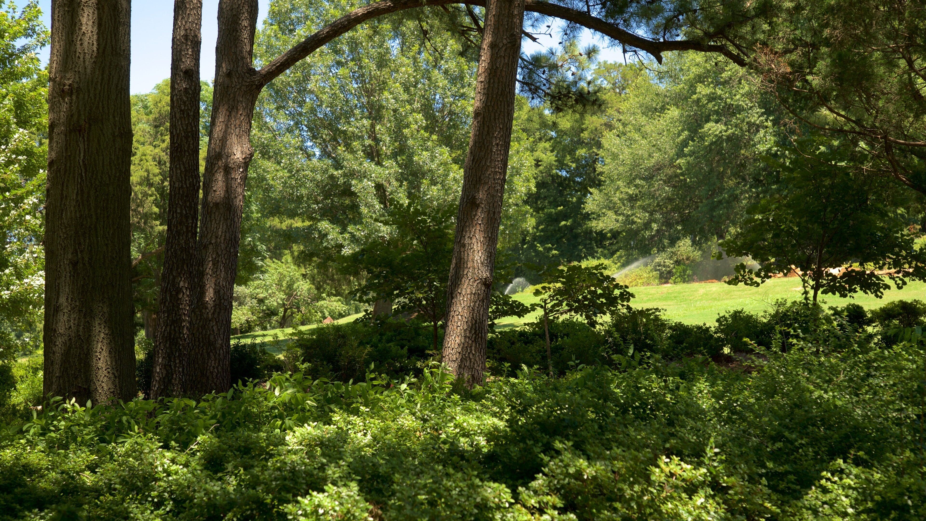 Honor Heights Park featuring a park