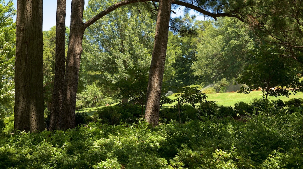 Honor Heights Park featuring a park