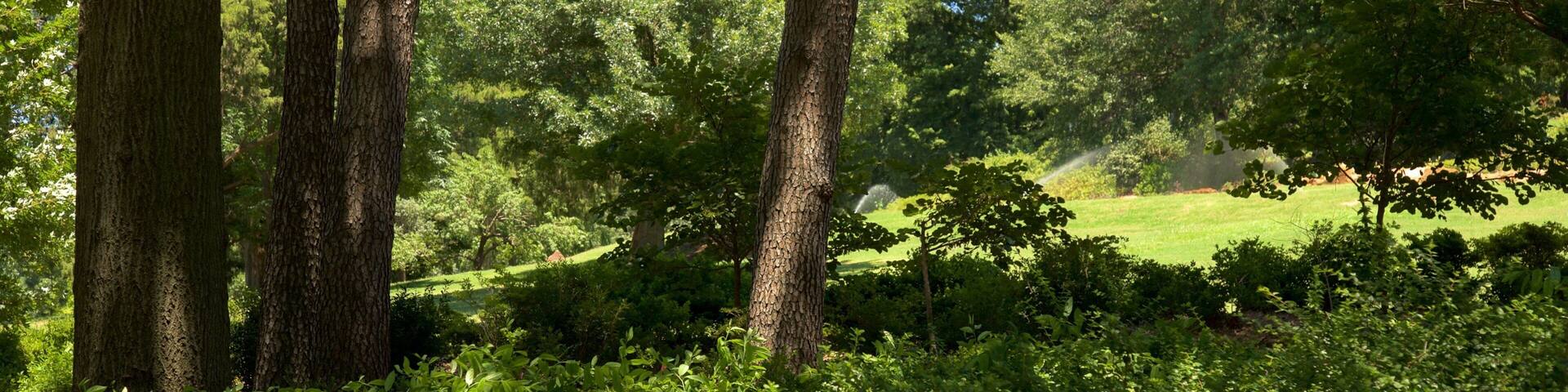 Honor Heights Park featuring a park