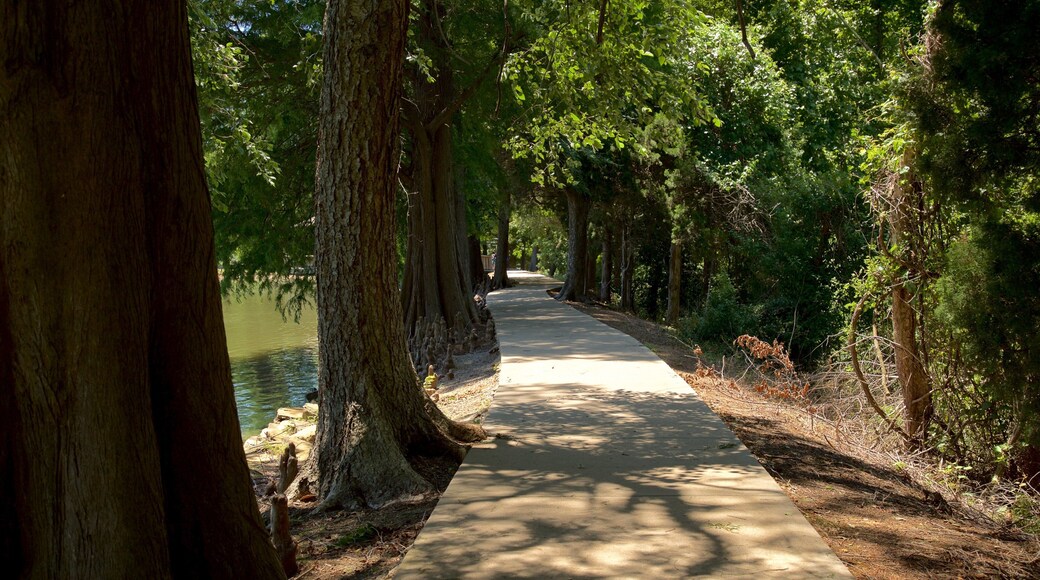 Honor Heights Park montrant parc