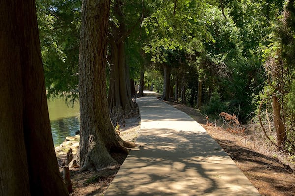 A tree-lined pathway beside a body of water.