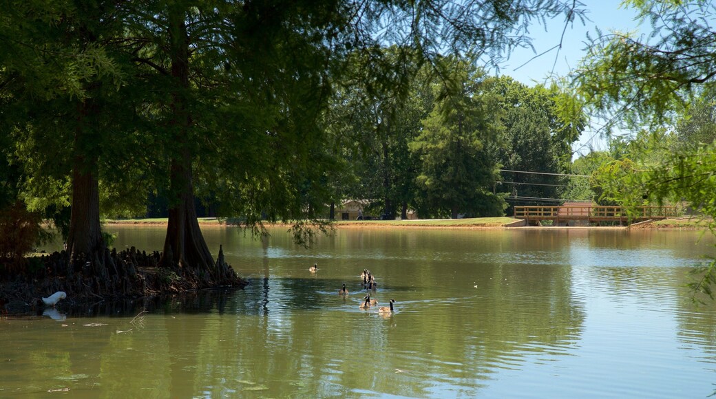 Honor Heights Park qui includes mare et vie des oiseaux