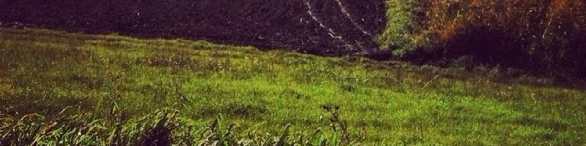 #campagna #mantova #countryside #italy