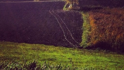 #campagna #mantova #countryside #italy