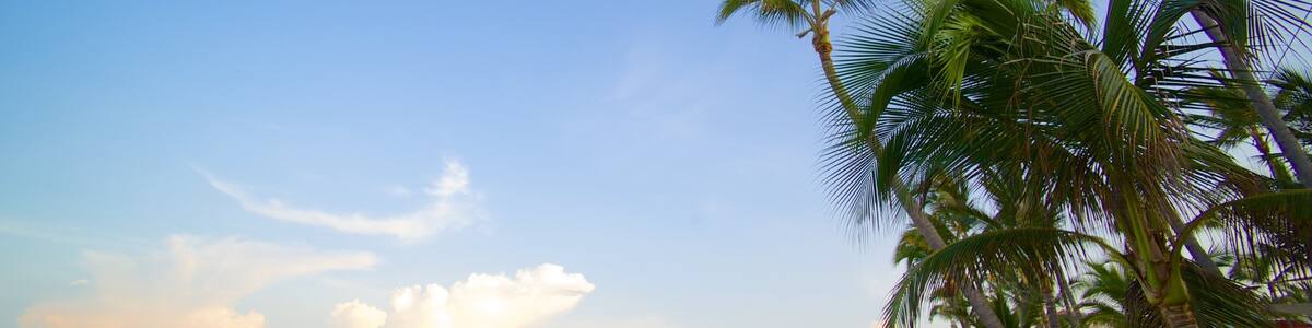 Nuevo Vallarta Beach featuring a sandy beach, landscape views and tropical scenes