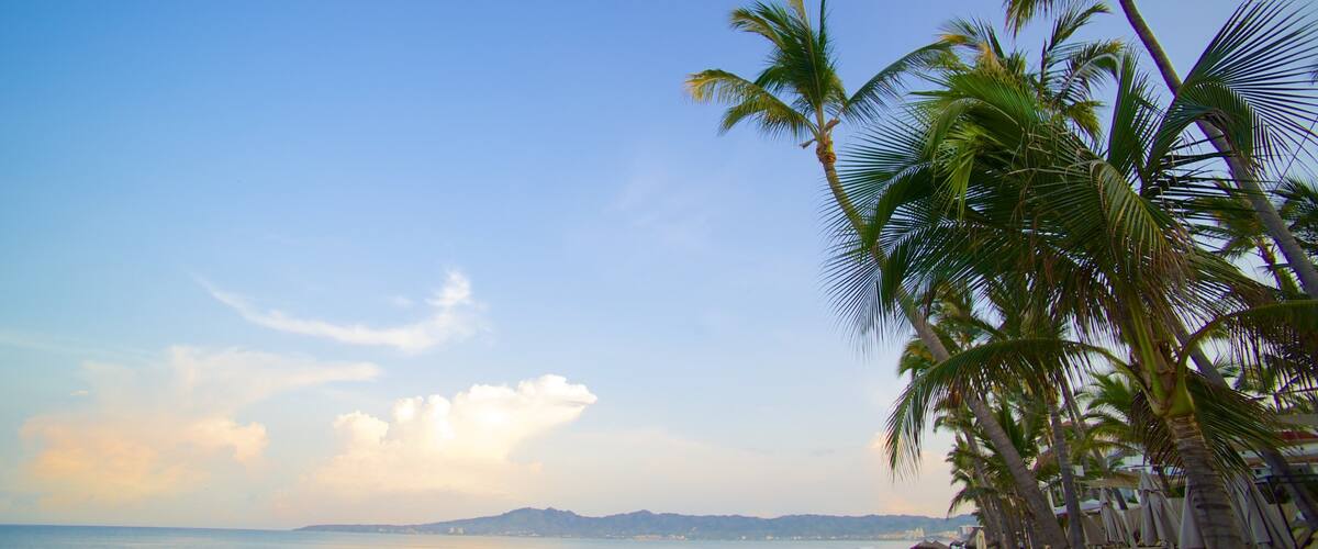 Playa Nuevo Vallarta ofreciendo una playa de arena, escenas tropicales y vistas de paisajes