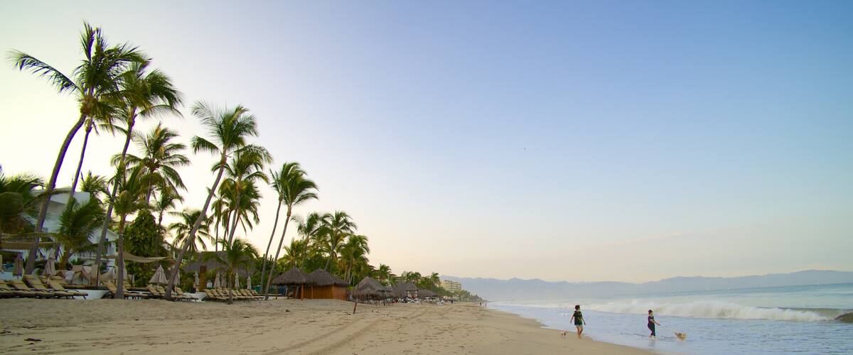 Nuevo Vallarta Beach featuring a beach and tropical scenes