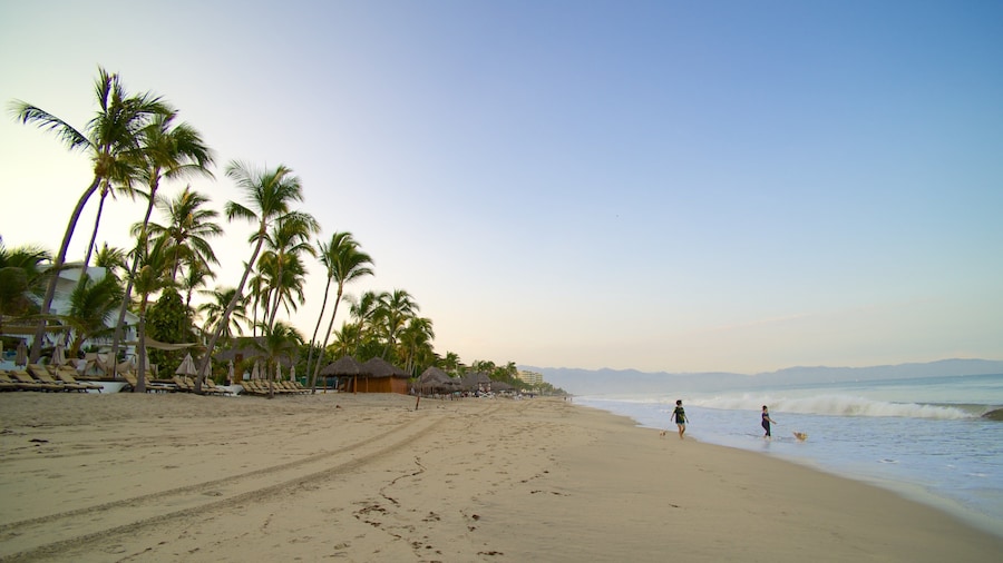 Spiaggia di Nuevo Vallarta caratteristiche di paesaggio tropicale e spiaggia sabbiosa