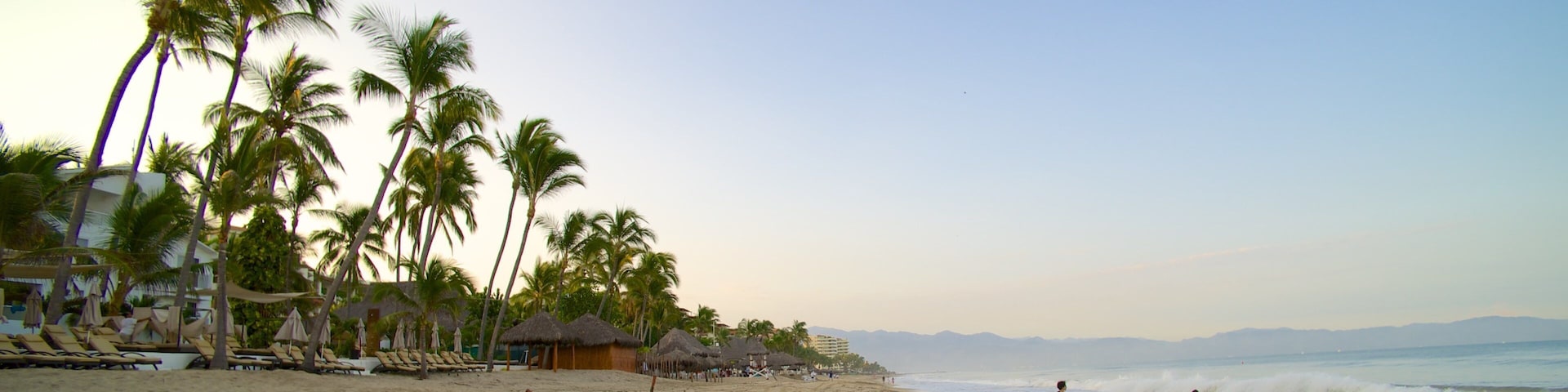 Nuevo Vallarta Beach featuring a beach and tropical scenes