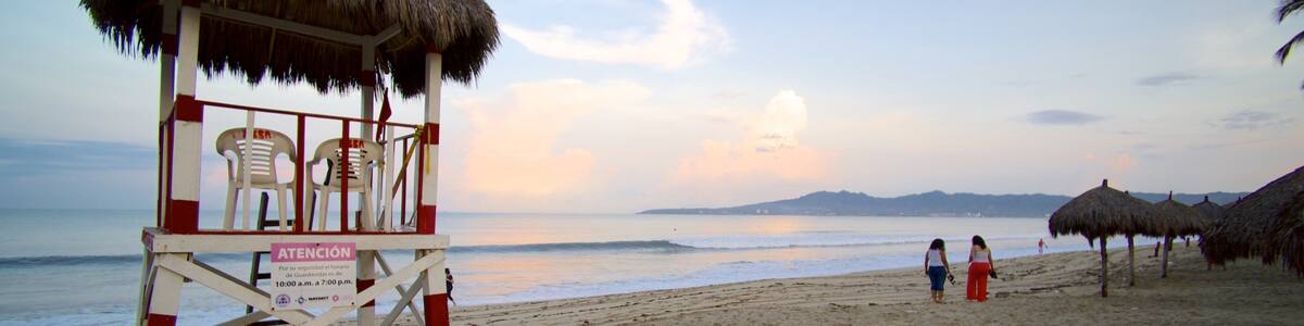 Nuevo Vallarta Beach which includes tropical scenes and a beach
