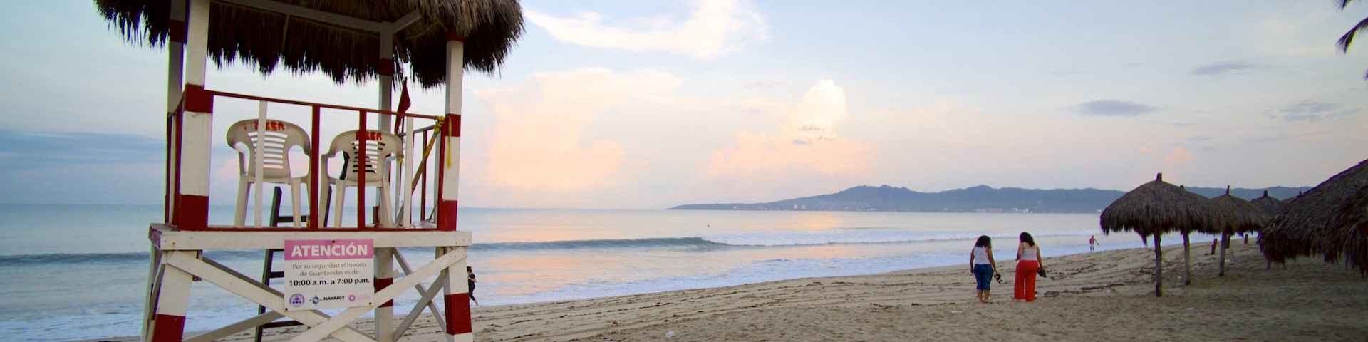 Praia de Nuevo Vallarta que inclui cenas tropicais e uma praia