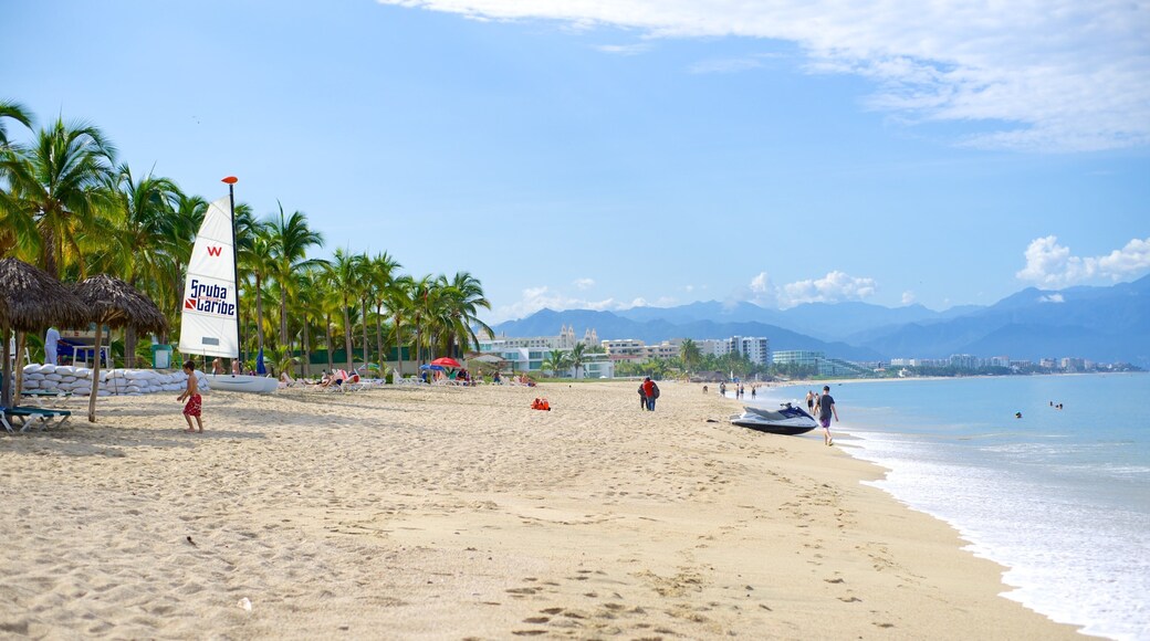 Nuevo Vallarta Beach showing a sandy beach and tropical scenes