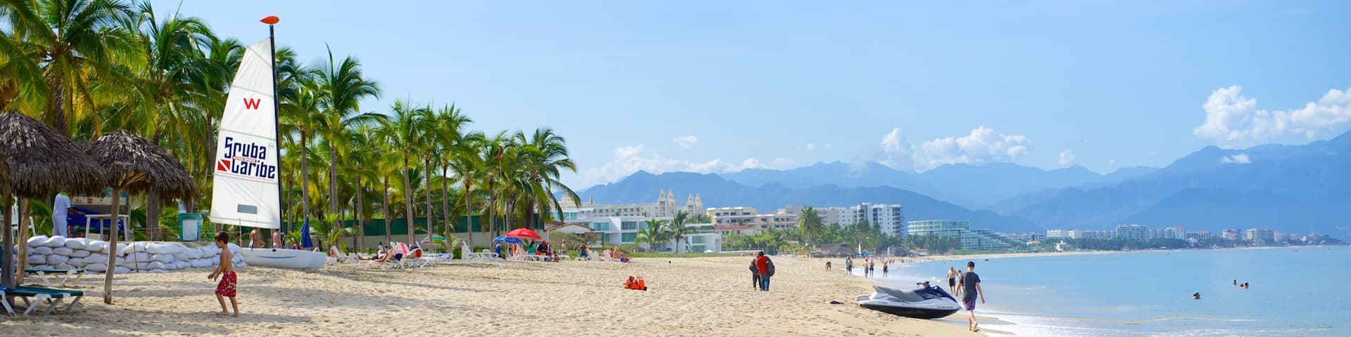 Nuevo Vallarta Beach showing a sandy beach and tropical scenes