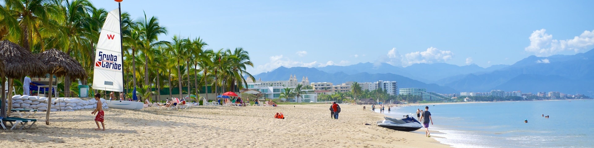 Nuevo Vallarta Beach showing a sandy beach and tropical scenes