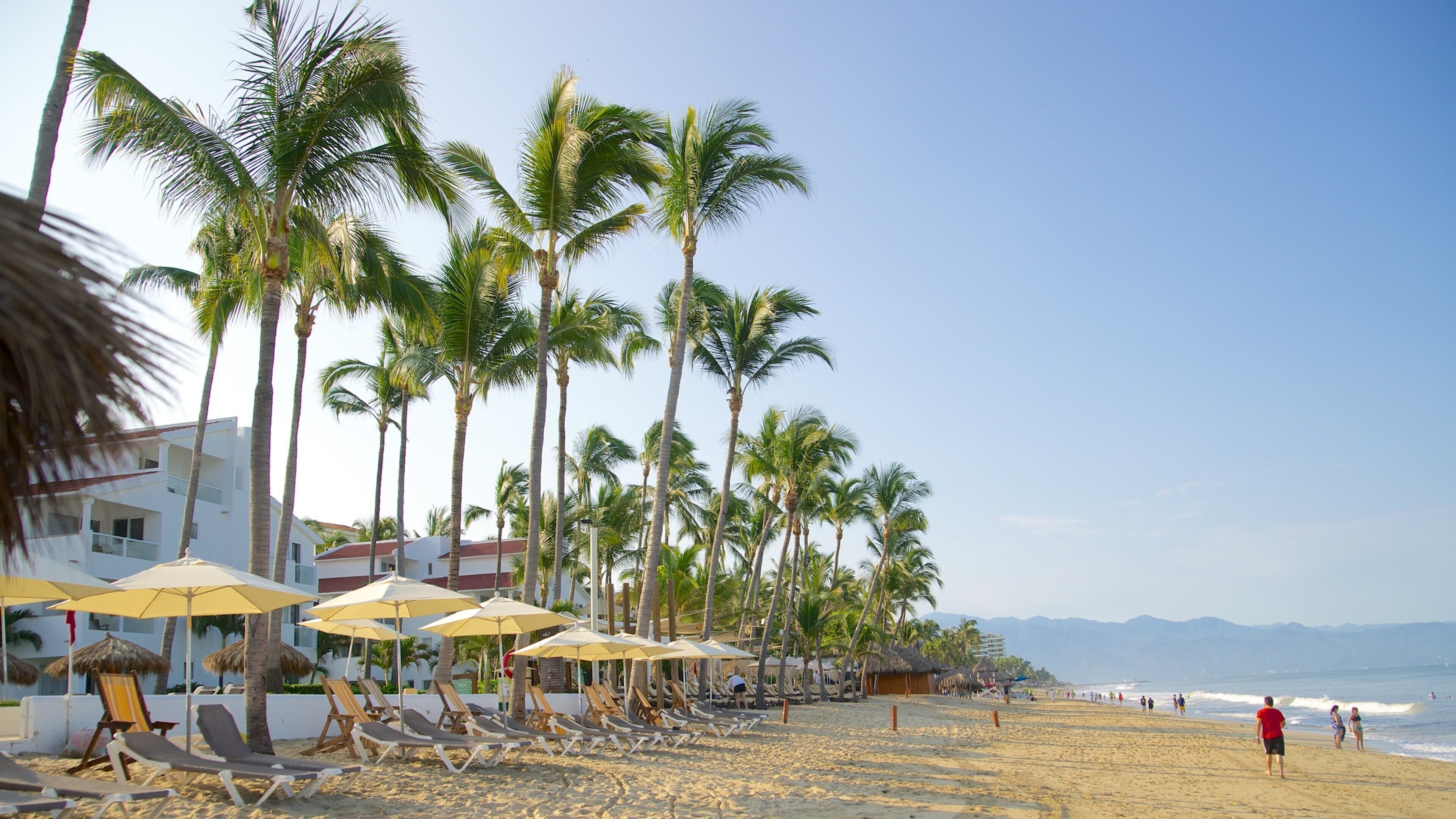 新巴亞爾塔海灘 呈现出 豪華酒店或度假村, 熱帶風景 和 沙灘