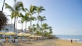 Une plage bordée de palmiers, avec des chaises longues et des parasols.