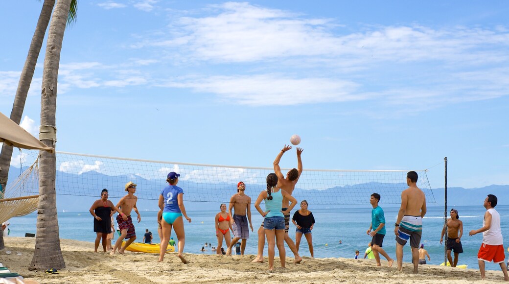 Bãi biển Nuevo Vallarta trong đó bao gồm bãi biển và sân chơi cũng như nhóm lớn
