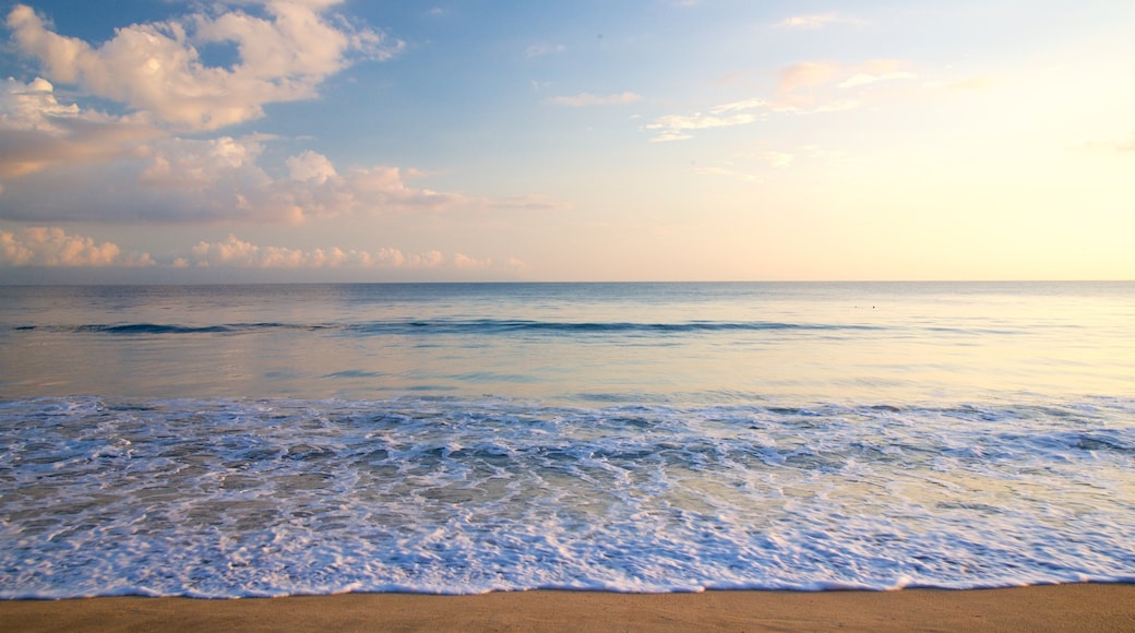Nuevo Vallarta Beach showing surf, general coastal views and a sandy beach
