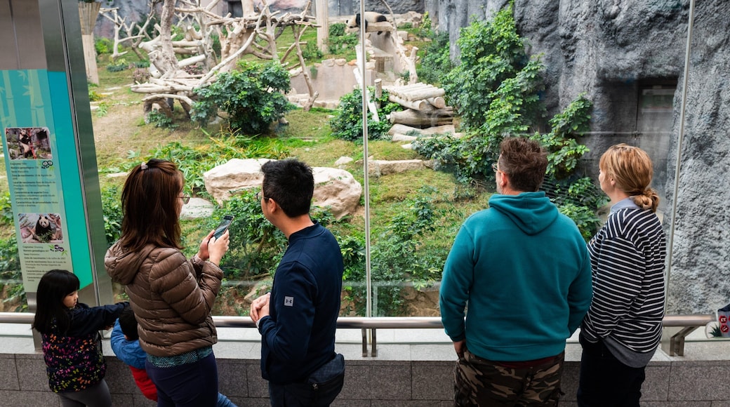 Seac Pai Van Park which includes a park and interior views as well as a small group of people