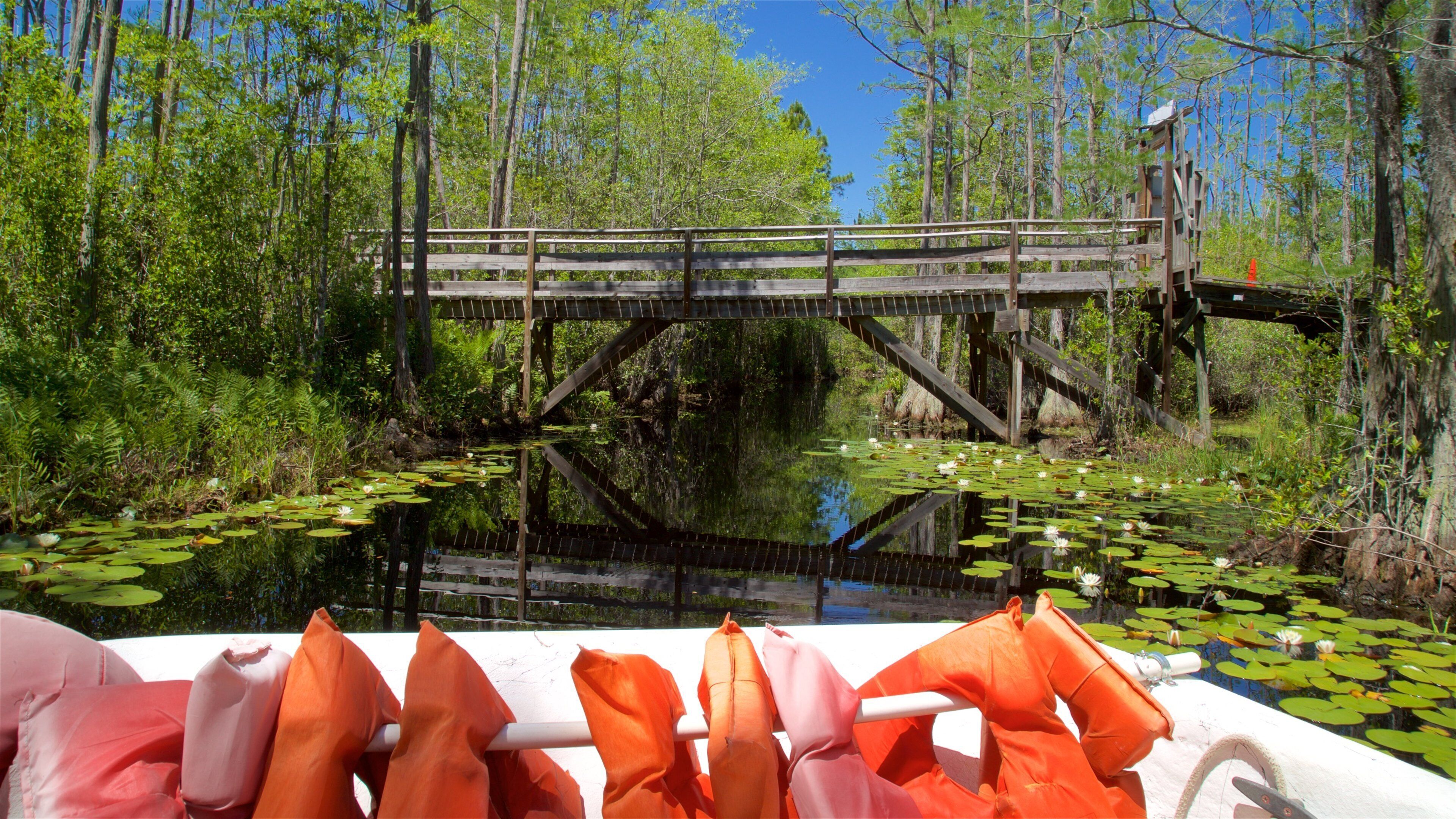 Okefenokee Swamp Park