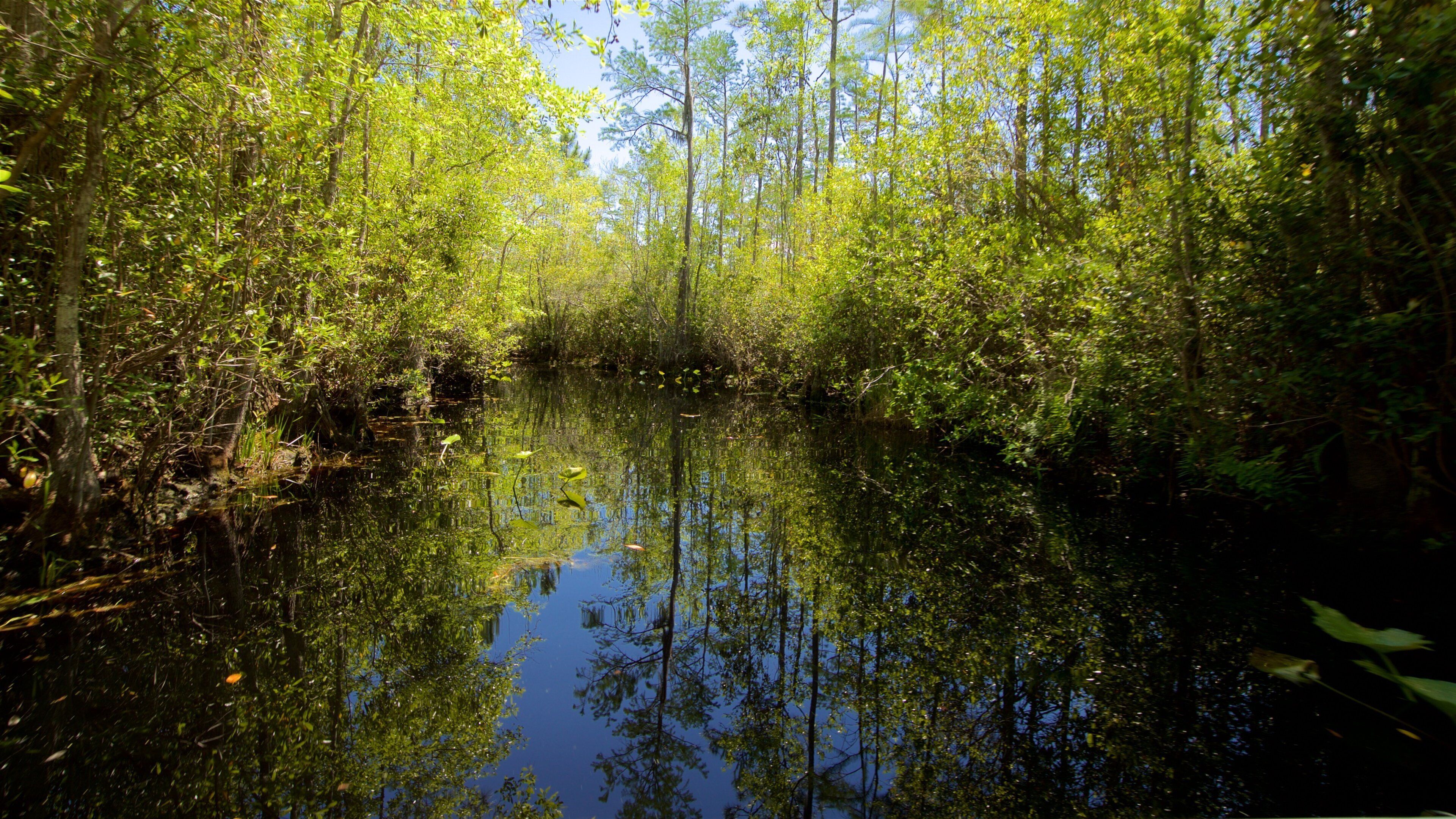 Okefenokee Swamp Park