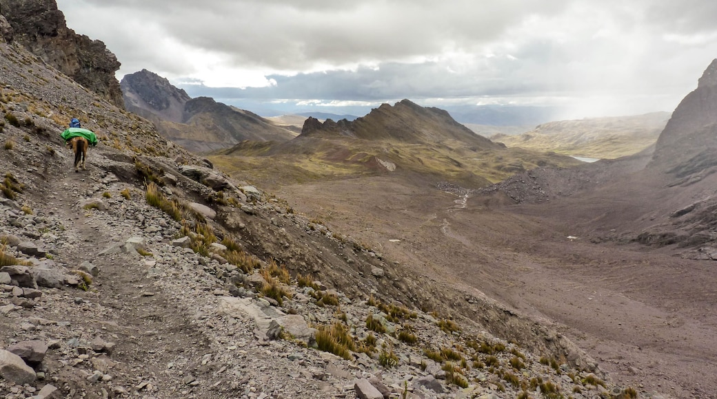 A rugged mountain trail with a hiker and a horse, surrounded by rocky terrain and distant peaks under a cloudy sky.