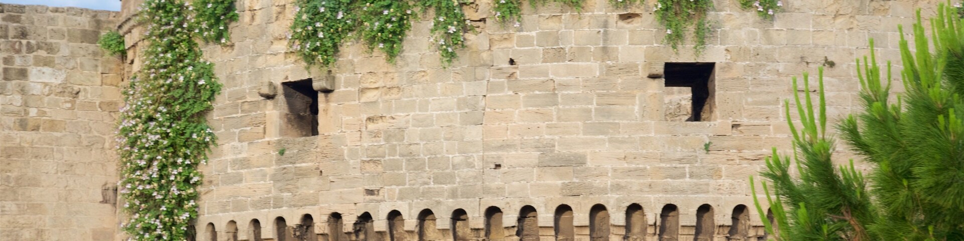 Aragonese Castle featuring a castle and heritage elements
