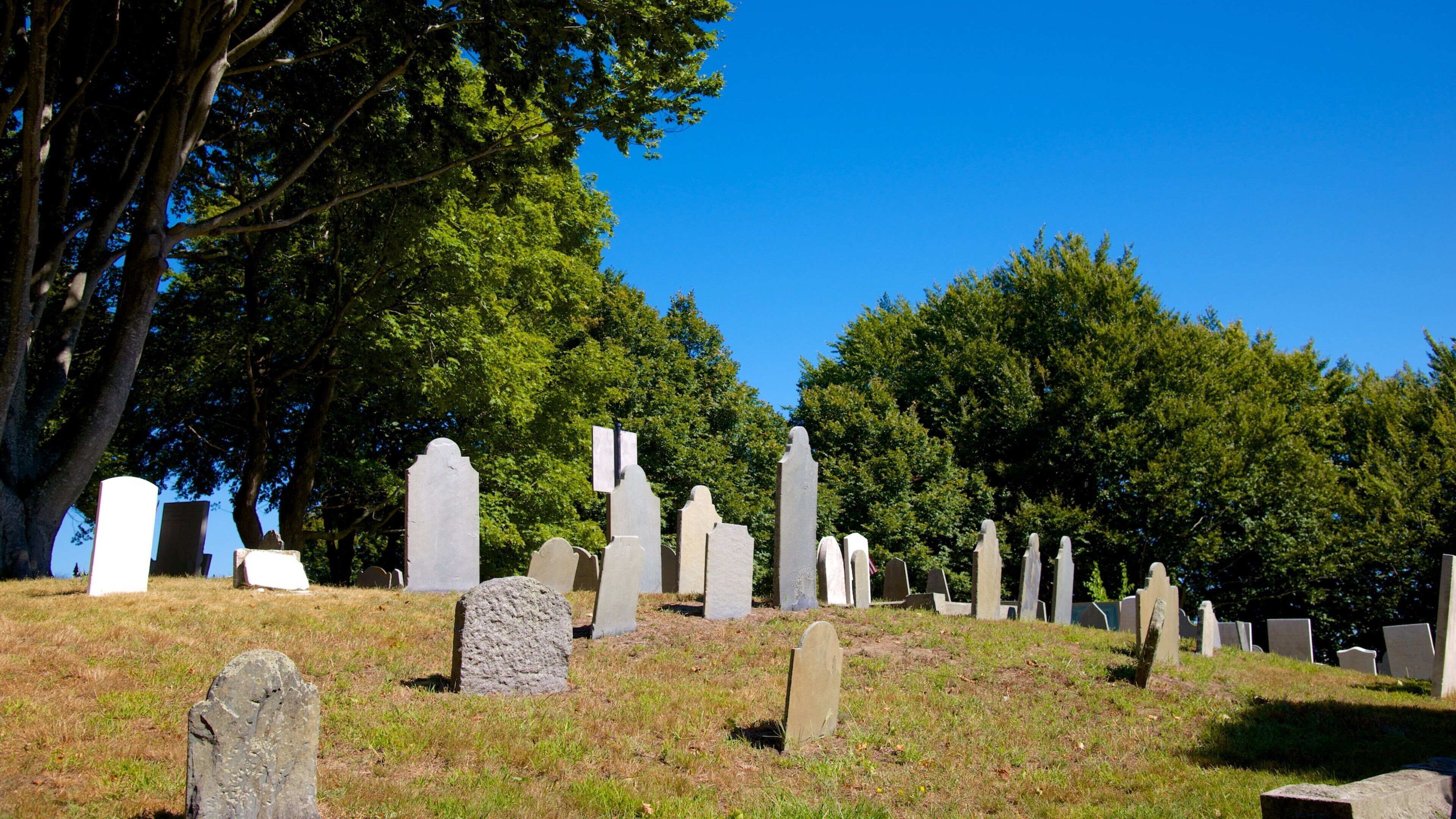 Burial Hill featuring a cemetery