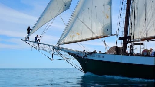 The Liberty Clipper is a 125ft Schooner Tall Ship which sails from Nassau in the Bahamas on a 5 day cruise around the islands.
What an amazing experience under full sail, all engines turned off and just the sound of the wind in the rigging and the Caribbean Ocean against the hull.
http://www.libertyfleet.com/tall-ship-cruise/cruising-grounds/bahamas
#waterlust #aquatrove