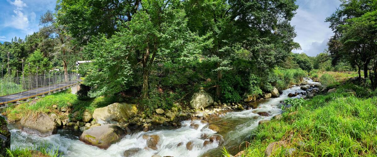 Un río que atraviesa un bosque con un puente colgante.