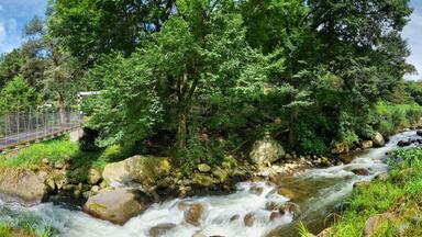 Um rio serpenteando por uma floresta, com uma ponte suspensa.