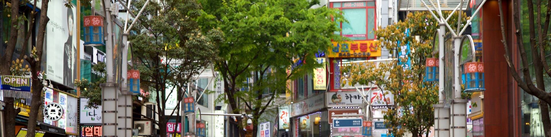 BIFF Square showing a city and central business district as well as a small group of people