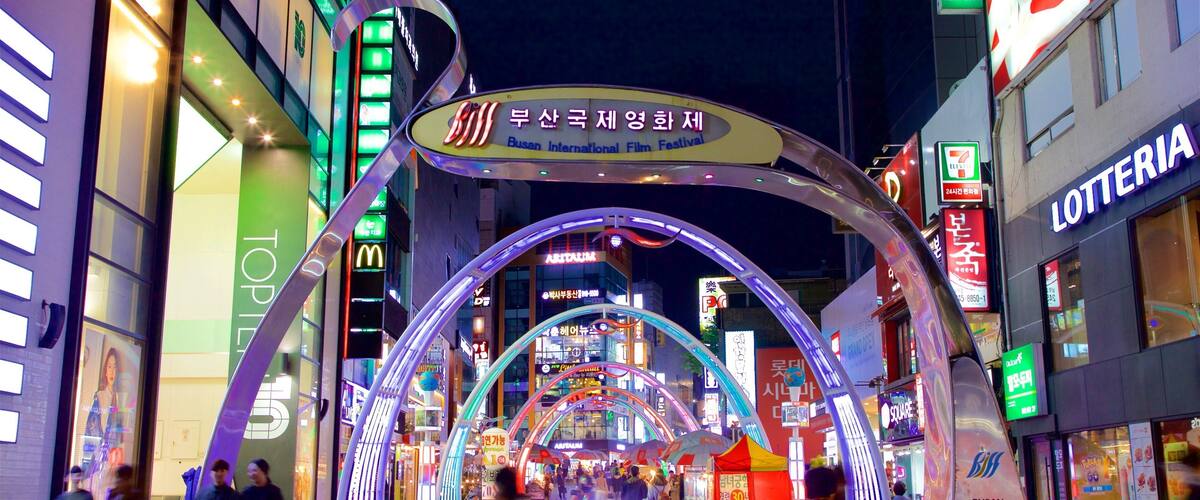 BIFF Square showing cbd, night scenes and a city