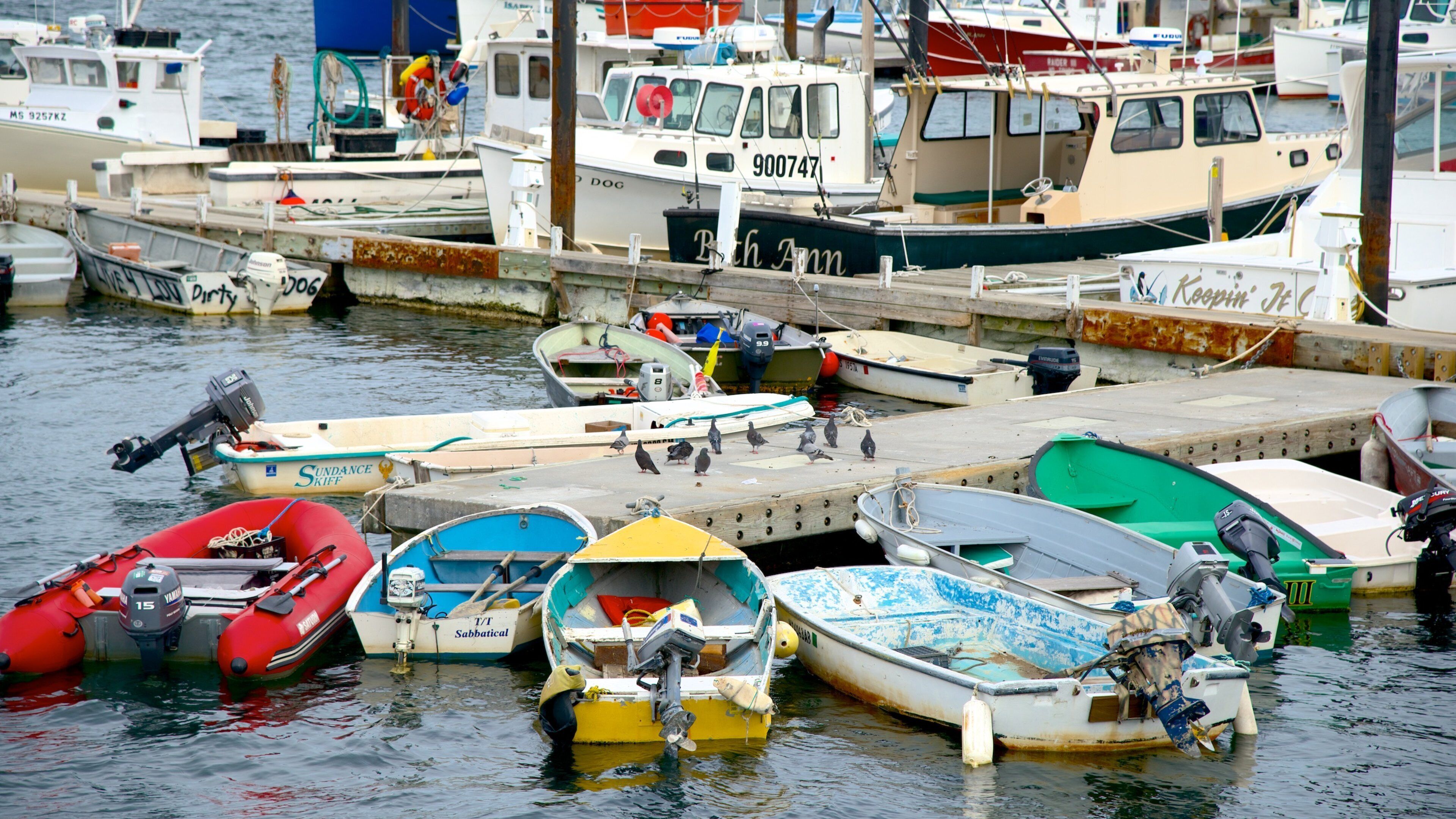 MacMillan Pier which includes a marina