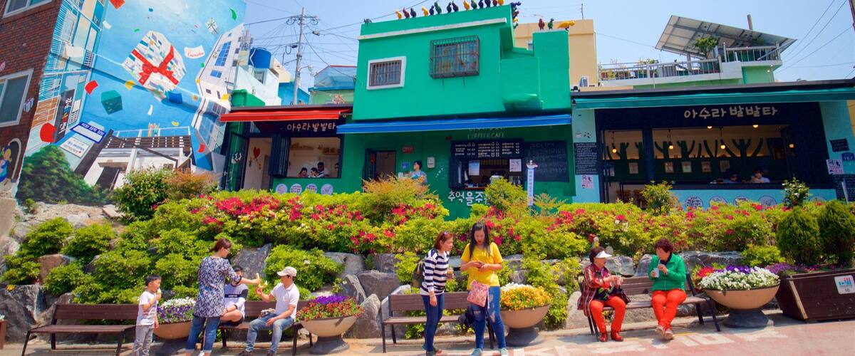 Gamcheon Culture Village which includes wildflowers and outdoor art as well as a small group of people