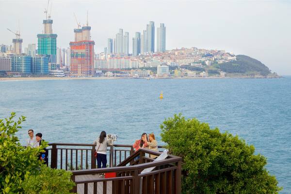 Dongbaekseom -park inclusief een wolkenkrabber, algemene kustgezichten en een stad
